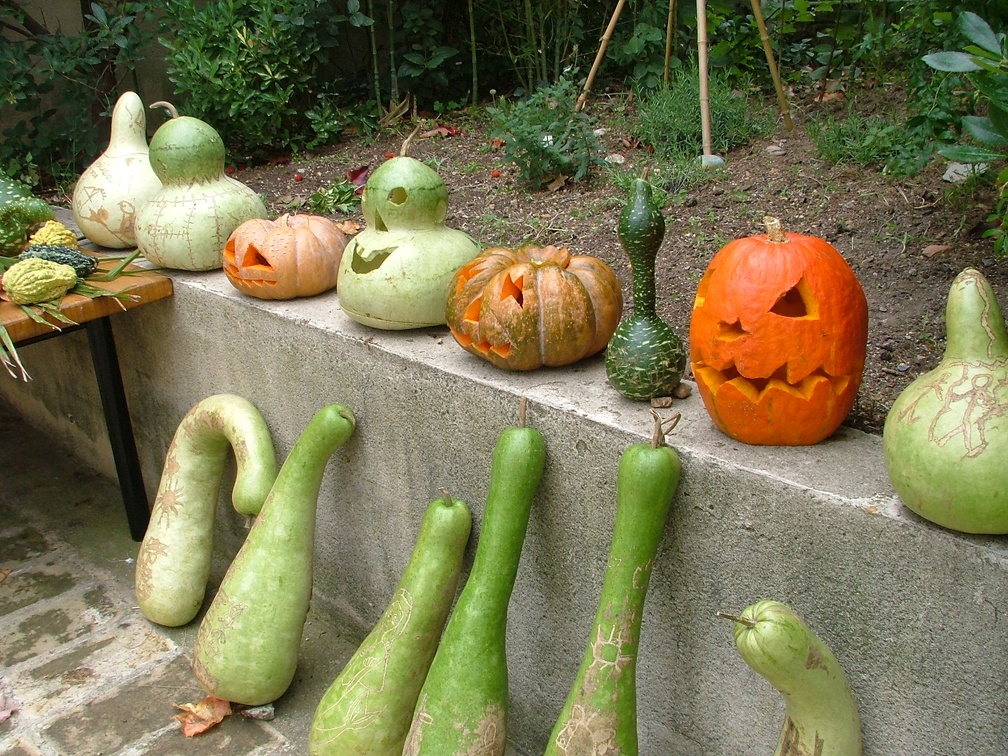 Courges-Sculte3
