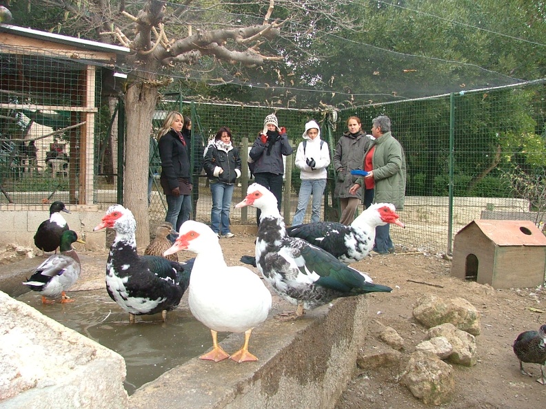 Formation-Animaux05.JPG