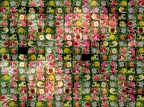 Fleurs-Mosaique