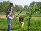 Agroecologie-Pulverisation-engrai-folliaire10