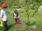 Agroecologie-Pulverisation-engrai-folliaire11