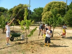 Agroecologie-Pulverisation-prele