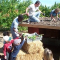 Cabane-cochon-Toiture-vegetale1