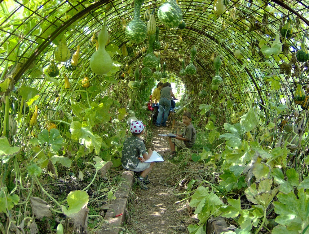 Courges-Tunnel2