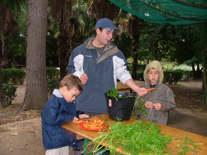 Cuisine-Carrotte.JPG