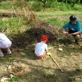 Jardinage-Apport-Compost1