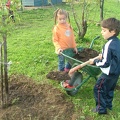 Jardinage-Apport-Compost2