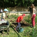 Jardinage-Apport-Compost3