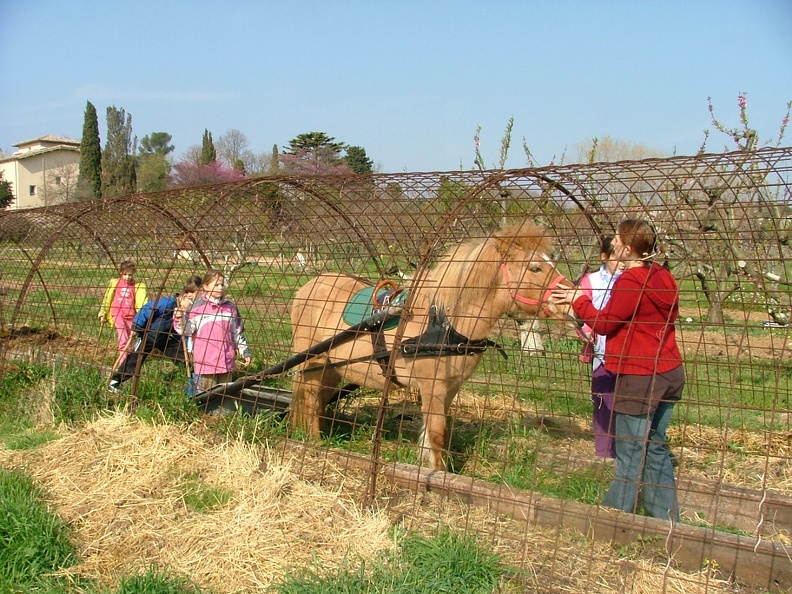 Jardinage-Apport-Compost9.JPG