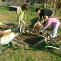 Jardinage-Preparation-Sol08