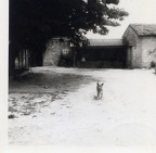 Photos-anciennes-70-8