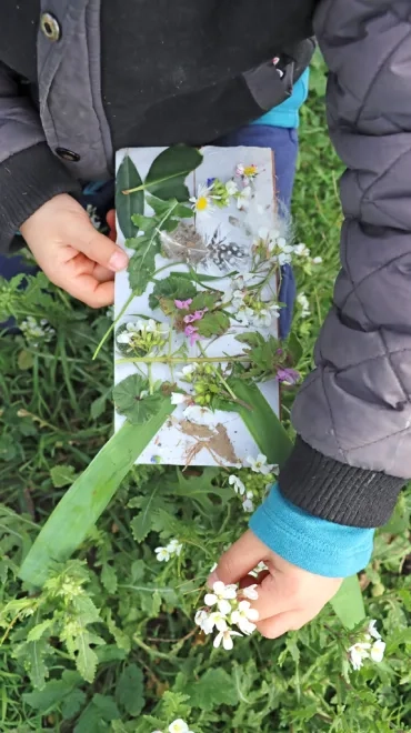 Mains d'un enfant tenant dans sa première une planchette adhésive avec des éléments naturels collés dessus (feuilles, fleurs, plume) et dans sa deuxième une fleur pour la coller sur la planchette