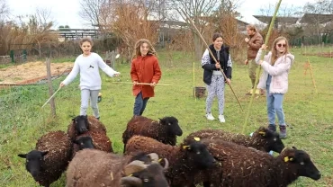 quatre enfants et un animateur dirigent un troupeau de moutons