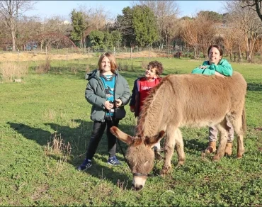 deux enfant et eur animatrice sont à côté d'un âne