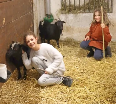 deux enfants et deux chèvres dans la grange 