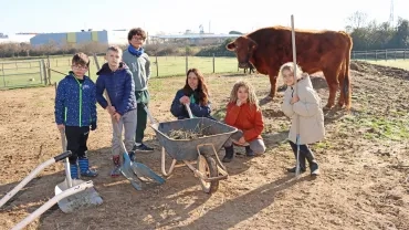 un groupe d'enfants et leur animatrice sont dans l'enclos des boeufs avec des outils et une brouette