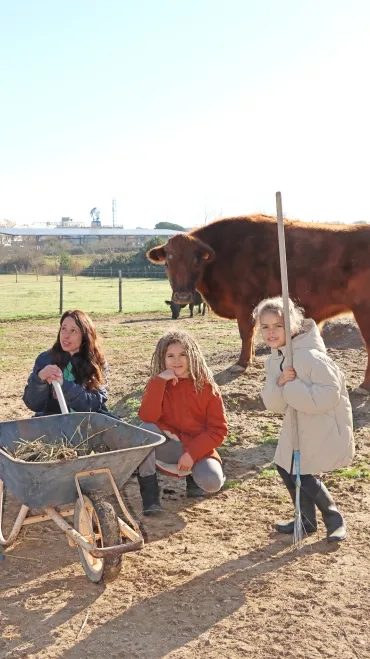 un groupe d'enfants et leur animatrice sont dans l'enclos des boeufs avec des outils et une brouette