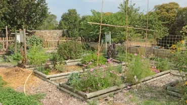 Jardins potagers en carré avec des tuteurs et des panneaux informatifs