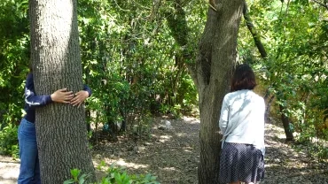 Deux adultes enlacent des arbres