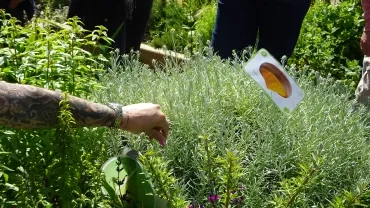 Un groupe d'adultes autour du carré de l'odorat du jardin des sens 