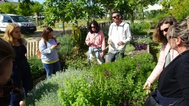 Un groupe d'adultes autour du carré de l'odorat du jardin des sens 