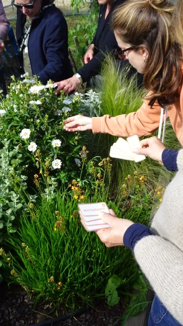 Des adultes placent des étiquettes sur des plantes