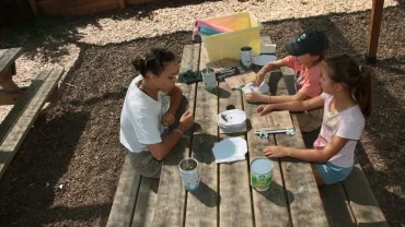 Mettons nos plantes à sécher pour le mini herbier