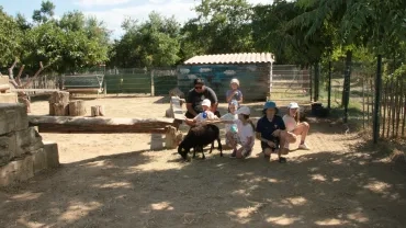 Jouons avec les moutons