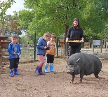 3 enfants et leur animatrice donnent des morceaux de courge à un cochon