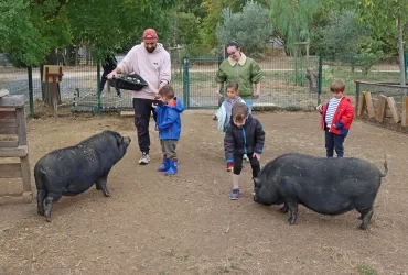 un groupe d'enfants et leur animateur donnent à manger à deux cochons