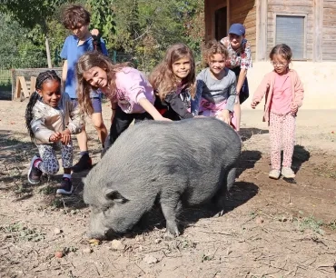 un groupe d'enfants et leur animatrice posent avec un cochon