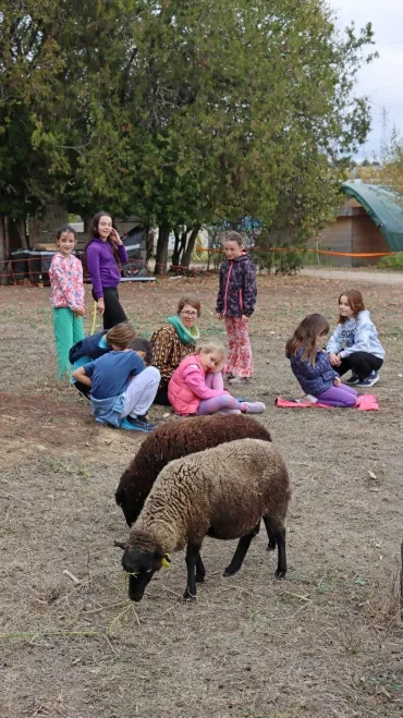 un groupe d'enfants et leur animatrice sont assis par terre avec des moutons