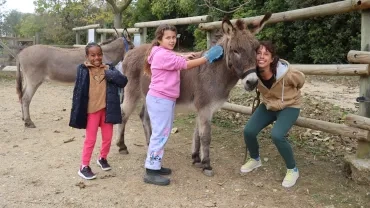 un groupe d'enfants et leur animatrice sont à côté d'un âne