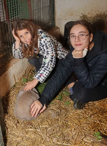 deux enfant caressent un lapin