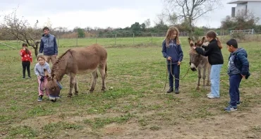 un groupe d'enfants et leur animateur promène deux ânes