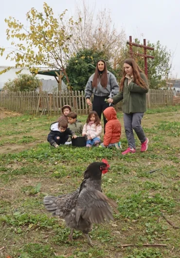 une poule d'ébroue en premier plan et un groupe d'enfants et leurs animatrices sont assis dans l'herbee