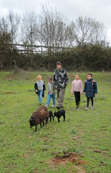 un groupe d'enfants et leur animatrice marchent derrière une brebis et ses deux agneaux