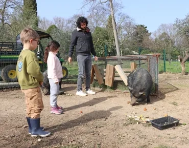 Deux enfants et leur animateur observent un cochon en train de manger