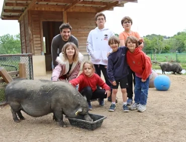 Un groupe d'enfants et leur animateur sont à côté d'un cochon qui mange