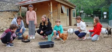 Un groupe d'enfants et leurs animateurs sont dans un poulailler avec des volailles autour d'eux