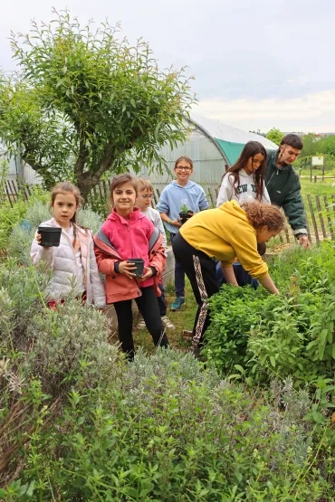 Un groupe d'enfants et leur animatrice récoltent au jardin