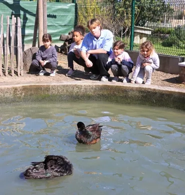 Un groupe d'enfants et leur animateur posent derrière la mare des canards