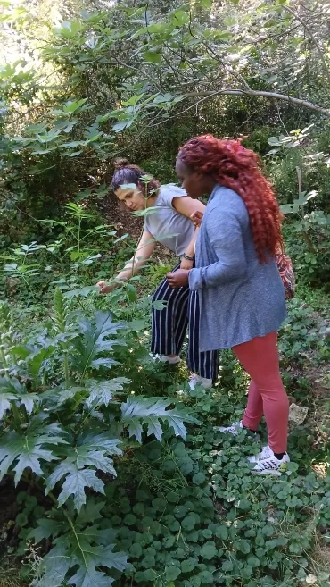 Deux participantes recherchent et cueillent des feuilles.