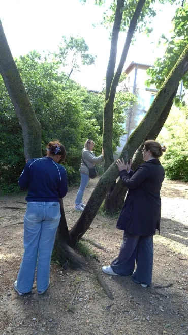Trois adultes enlacent des arbres