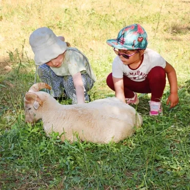 deux enfants caressent un mouton