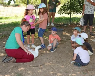 un groupe d'enfant autour d'une animatrice qui tient une oie