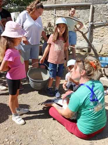 une animatrice tient un dindon et les enfants observent