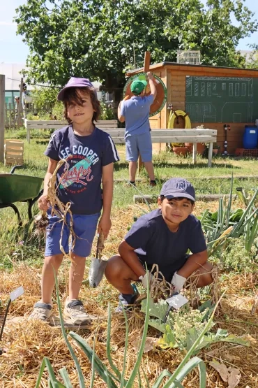 deux enfants récoltent de l'ail