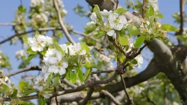 Vacances de printemps - 16 au 20 avril 2018
