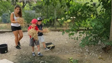 Vacances d'été - 6 au 10 août 2018